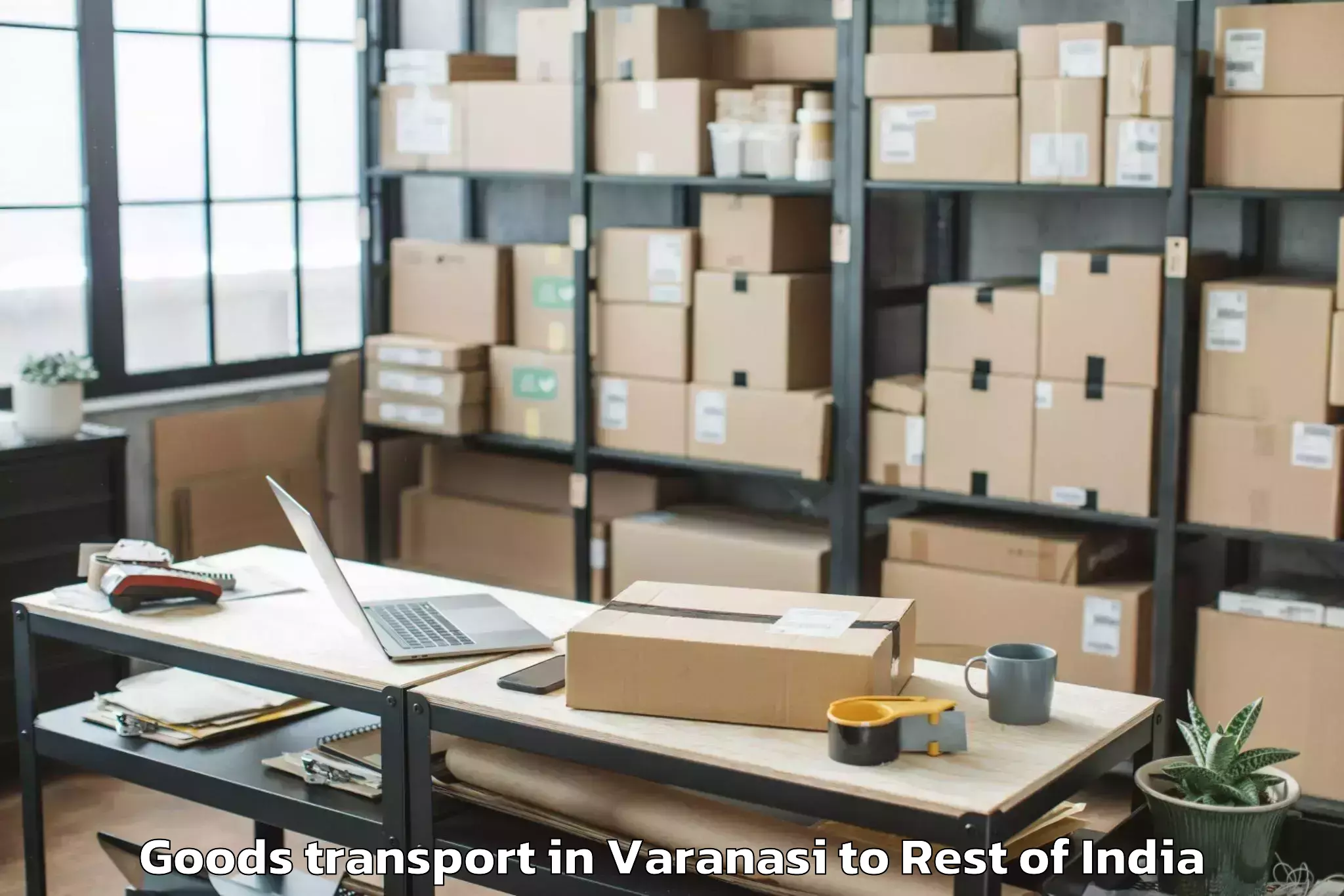 Book Varanasi to Nallabelli Goods Transport Online